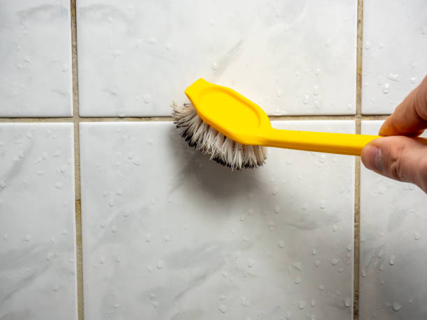 Best Office Mold Removal Services  in Hidalgo, TX