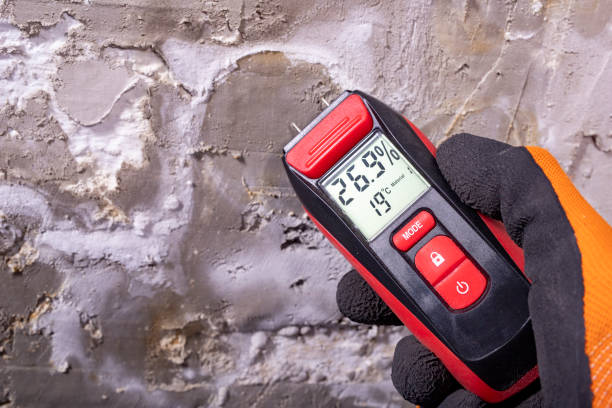 Best Emergency Mold Removal  in Hidalgo, TX