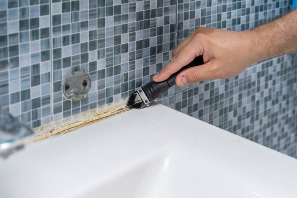 Best Toxic Mold Removal  in Hidalgo, TX
