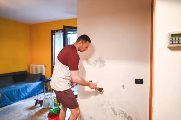 Best Mold Cleaning Services  in Hidalgo, TX